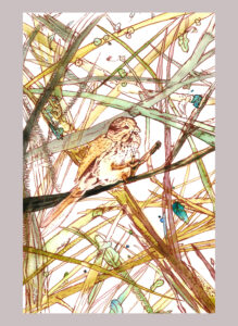 curious bird