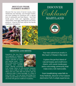 brochure mockup